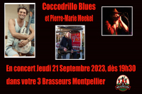 Coccodrillo Blues en concert au 3 Brasseurs