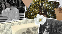 Le voyage du Magnolia Géant : enquête au cœur du Jardin Public