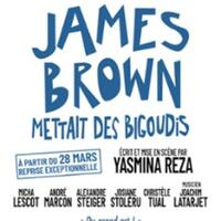James Brown Mettait des Bigoudis - Théâtre Marigny, Paris