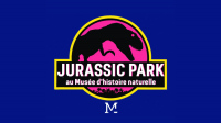 Soirée ciné “Jurassic Park”