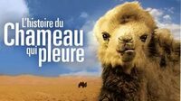 Séance Ciné-débat : « L’histoire du chameau qui pleure»