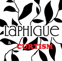 CURTISM / LAPHIGUE