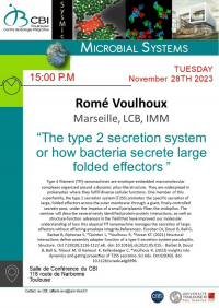 Romé Voulhoux (LCB, IMM, Marseille) - The type 2 secretion system or how bacteri