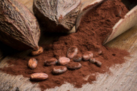 Atelier curiosité (dès 14 ans) : les cosmétiques à base de cacao