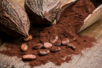 Atelier curiosité (dès 8 ans) : les cosmétiques à base de cacao
