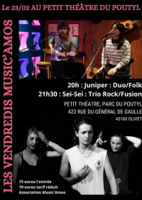 Double concert : Duo Folk suivi de Sei-Sei (rock fusion)