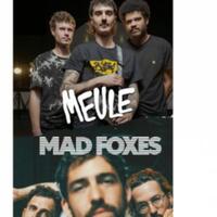 MEULE + MAD FOXES