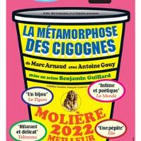 La Métamorphose des Cigognes - La Pépinière Théâtre, Paris