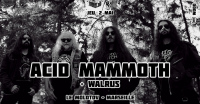 ACID MAMMOTH / WALRUS