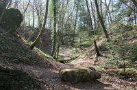 Le sentier géologique de Sentheim, une balade à remonter le temps