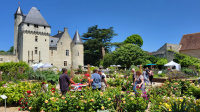 Fête des Roses au Château du Rivau - RDV aux Jardins (37)