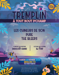 Tremplin - Festival À Tout Bout d'Champ 2024