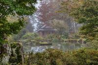 Découverte de l'univers d'un jardin japonais