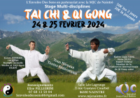 Stage Tai chi et Qi gong