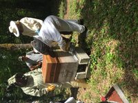 Journée d'initiation à l'apiculture