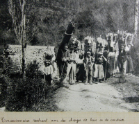 HIPPOLYTE DE LA HAMELINAYE (1861-1935), FORESTIER PHOTOGRAPHE [conférence]