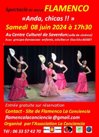 Spectacle de danse Flamenco " Anda, chicas !! "
