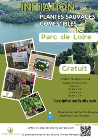 Initiation Plantes sauvages comestibles Parc de Loire