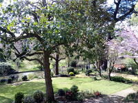 Visite commentée d'un jardin du XIXème siècle au pied des remparts de Montaigu e
