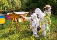 "Le monde des abeilles " - atelier enfants