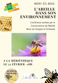 Conférence : l'abeille dans son environnement
