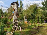 Visite découverte d'un jardin atypique au sud de Toulouse
