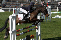 Compétition d'équitation, étape départemantale qualificative pour les Championna