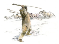 Visite libre de l'exposition "Le propulseur des chasseurs de rennes aux chasseur