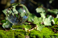 Balade photographique "Spécial lensball" dans le parc de Beaupreau