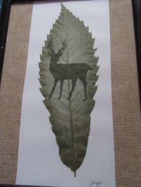Atelier créatif : Folio sculpture : dentelle de feuilles
