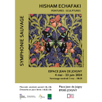 ‘Symphonie Sauvage’ par Hisham Echafaki