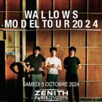 Wallows - Model Tour