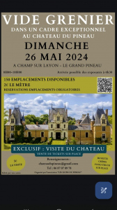 Vide Grenier et VISITE du Château du PINEAU
