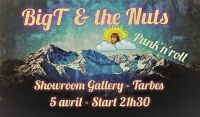 Concert Big T & the Nuts - Showroom Gallery CEMA