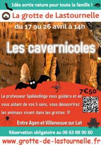 Les Cavernicoles dans la Grotte de Lastournelle