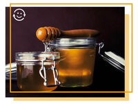 Conférence ruche pédagogique et dégustation de miel