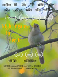 Nightingales in Berlin / Rencontre avec David Rothenberg