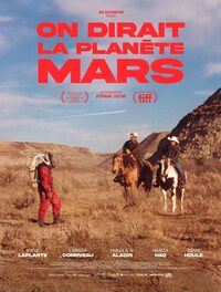 Cinéma "Un autre regard" : On dirait la planète Mars