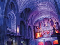 Visite nocturne de la cathédrale de Bordeaux