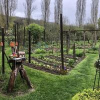 Visite découverte du jardin du Prieuré de la Ferté-Loupière