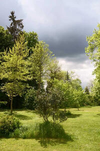Visite commentée d'un jardin-arboretum en Périgord vert