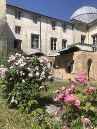 Visite guidée - Les roses de Saint-Denis