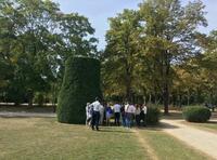 Visite guidée du parc de la Cité internationale et de la 7e édition des Jardins 