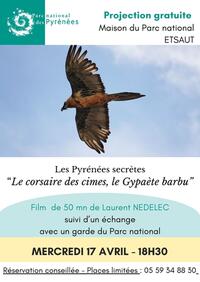 Projection : Film "Le corsaire des cimes, le Gypaète barbu" de Laurent Nédélec