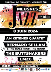 Festival Meusnes in Jazz 2024