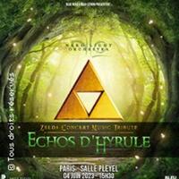 Echos d' Hyrule - Par Neko Light Orchestra