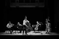Concert : Quintette à cordes et contrebasse soliste par l'Ensemble Contrebassimo
