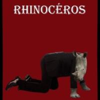 Rhinocéros -  Eugène Ionesco