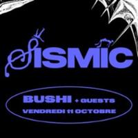 Bushi Sismic Festival  #10