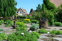 Découverte libre d'un jardin monastique et visite guidée de l'abbatiale d'Eschau